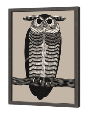 Horned Owl