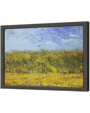 Wheat Field with a Lark