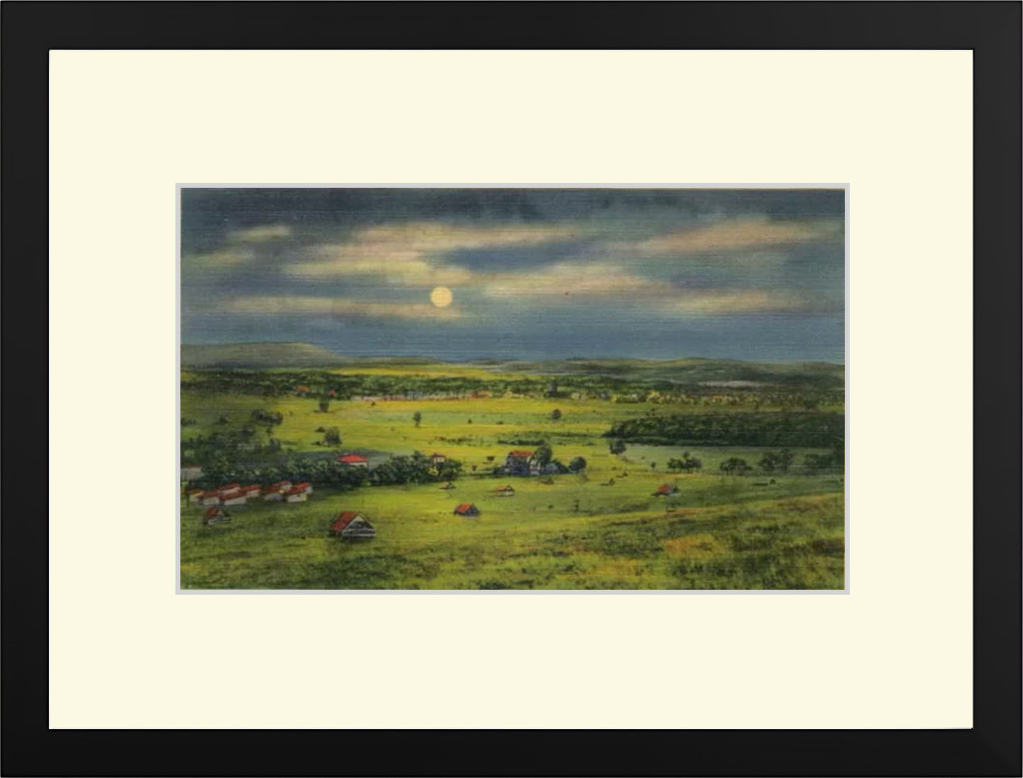 MOONLIT GRASSLAND