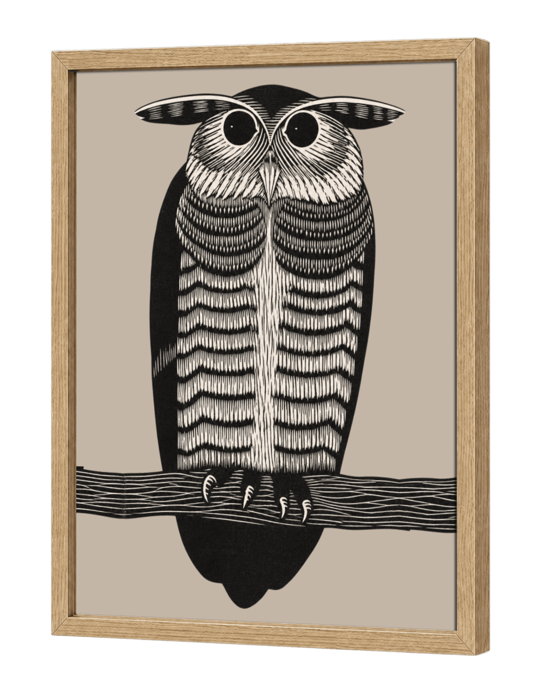 Horned Owl