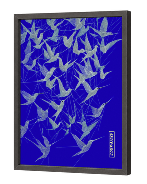 SKYDANCE