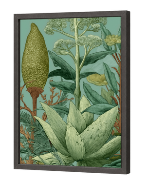 EXTRA-TERRESTRIAL PLANTS