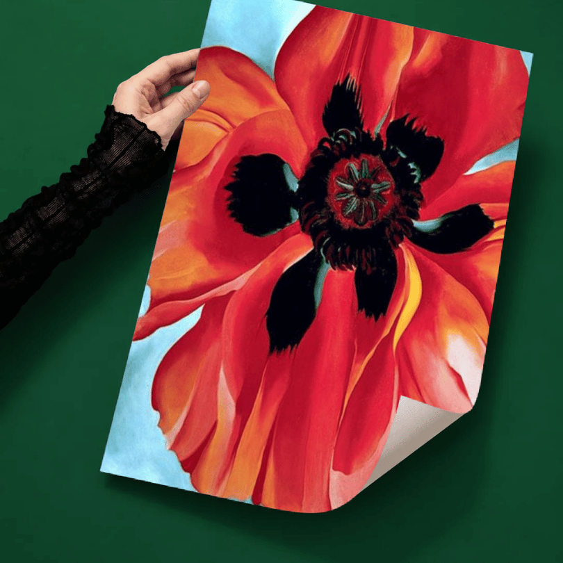 Red Poppy