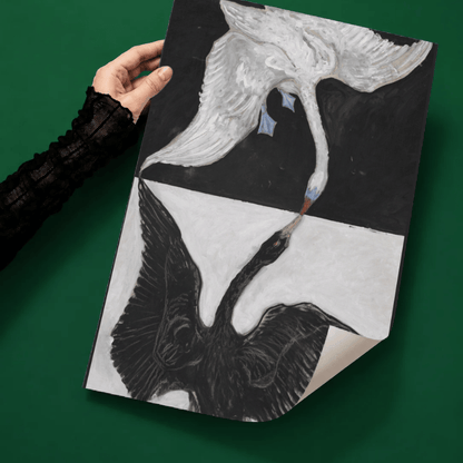 The Swan