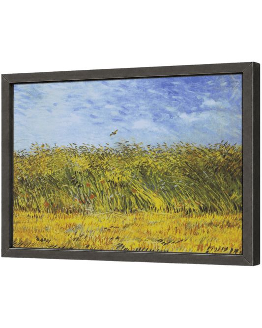 Wheat Field with a Lark