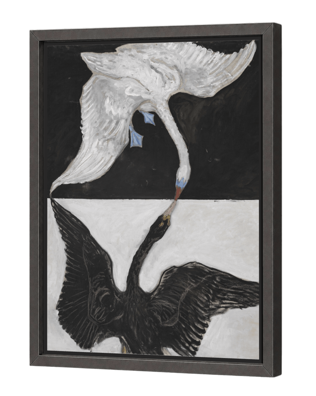 The Swan