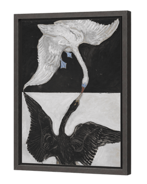 The Swan