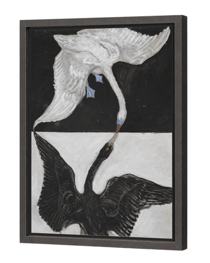 The Swan