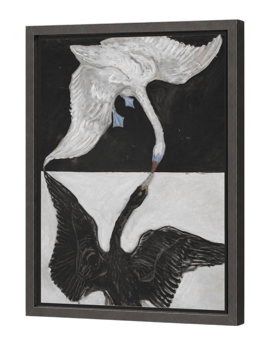 The Swan