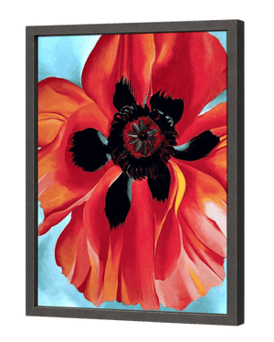 Red Poppy