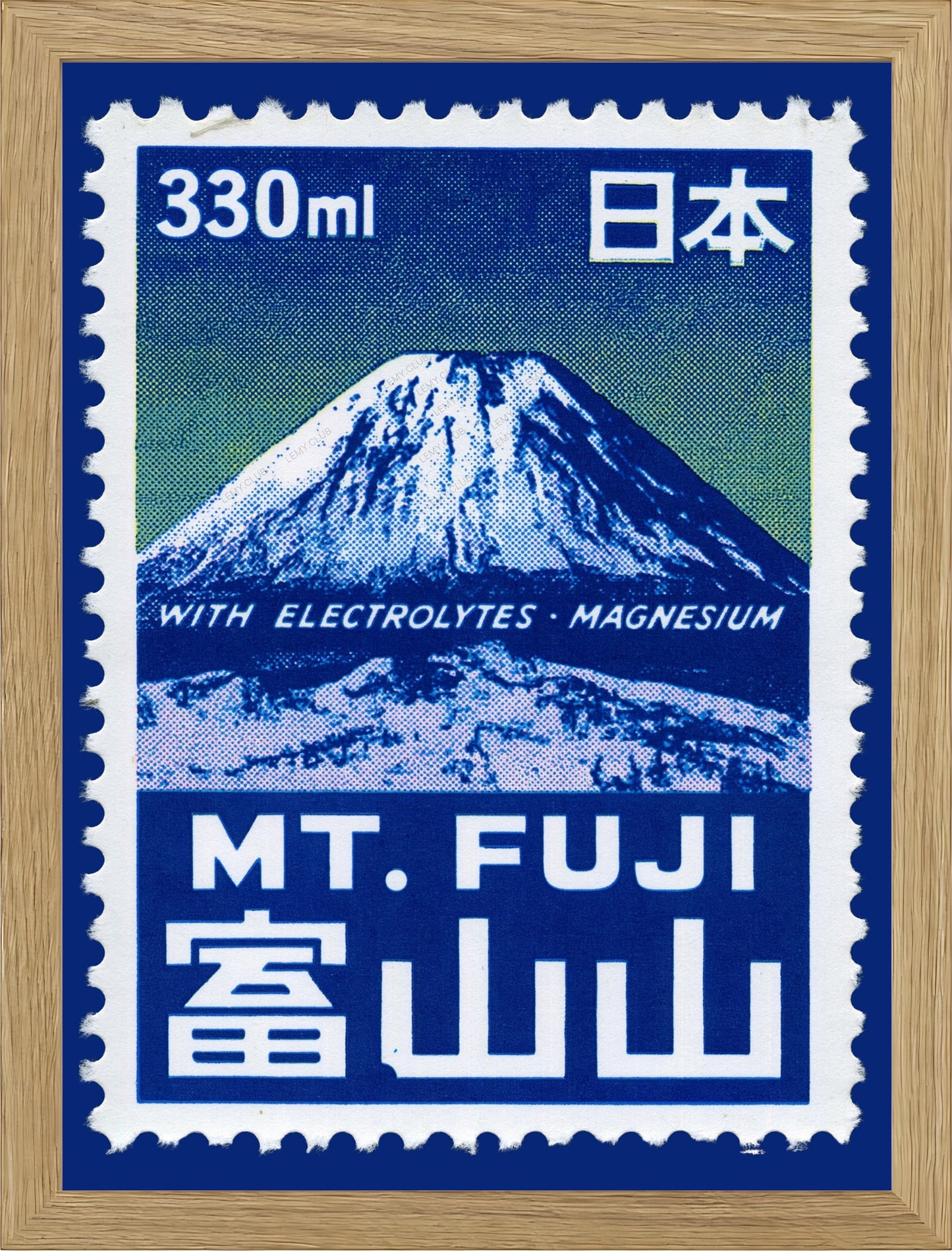 FUJI ELECTROLYTES