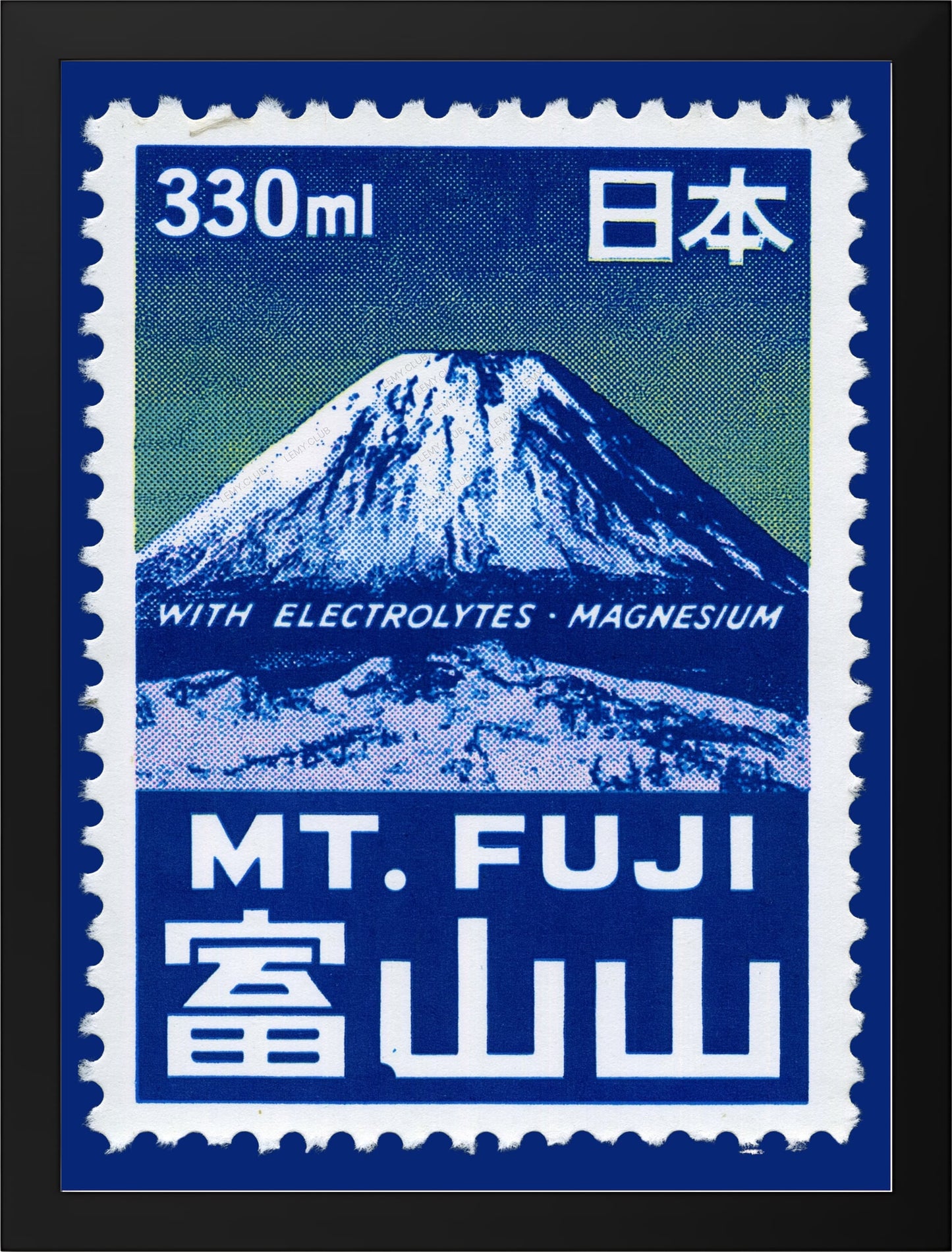 FUJI ELECTROLYTES