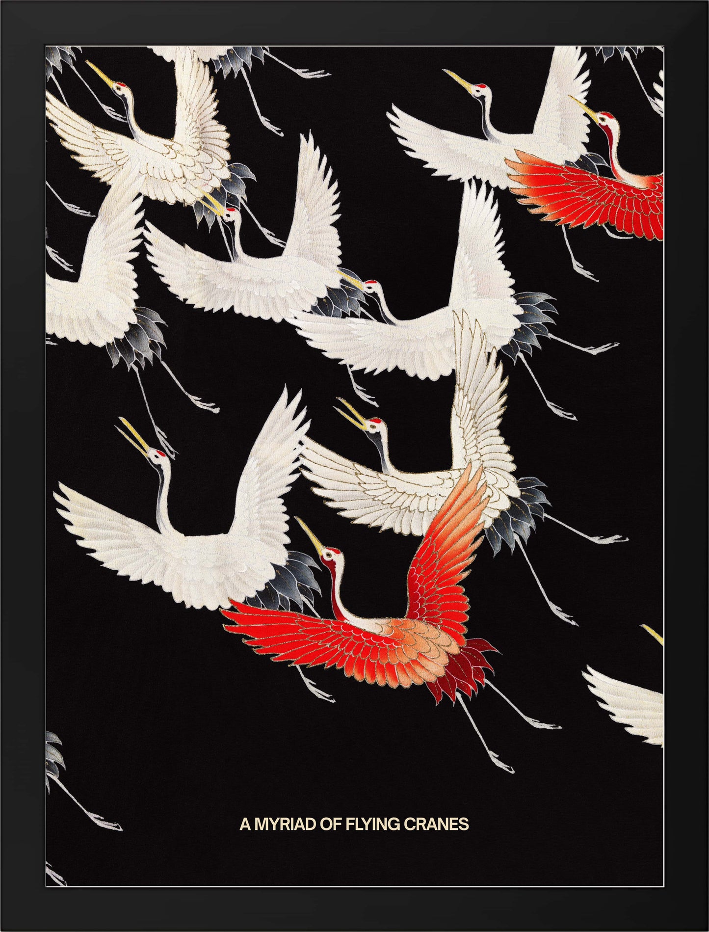 A MYRAID OF FLYING CRANES