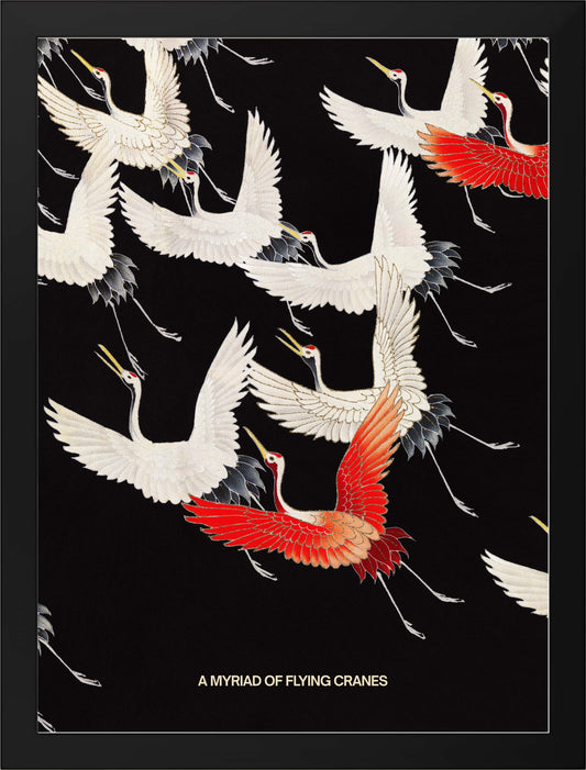 A MYRAID OF FLYING CRANES