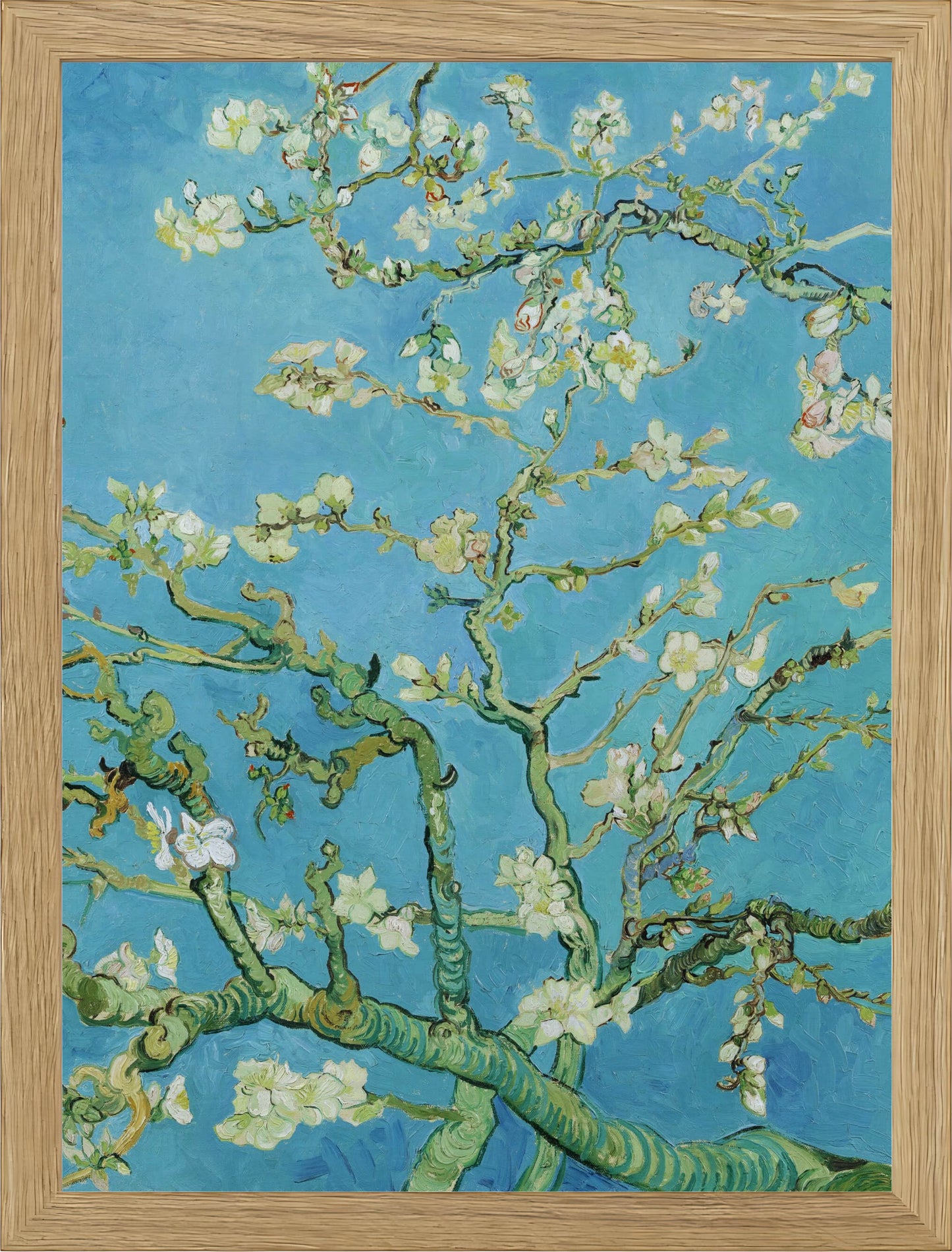 ALMOND BLOSSOM