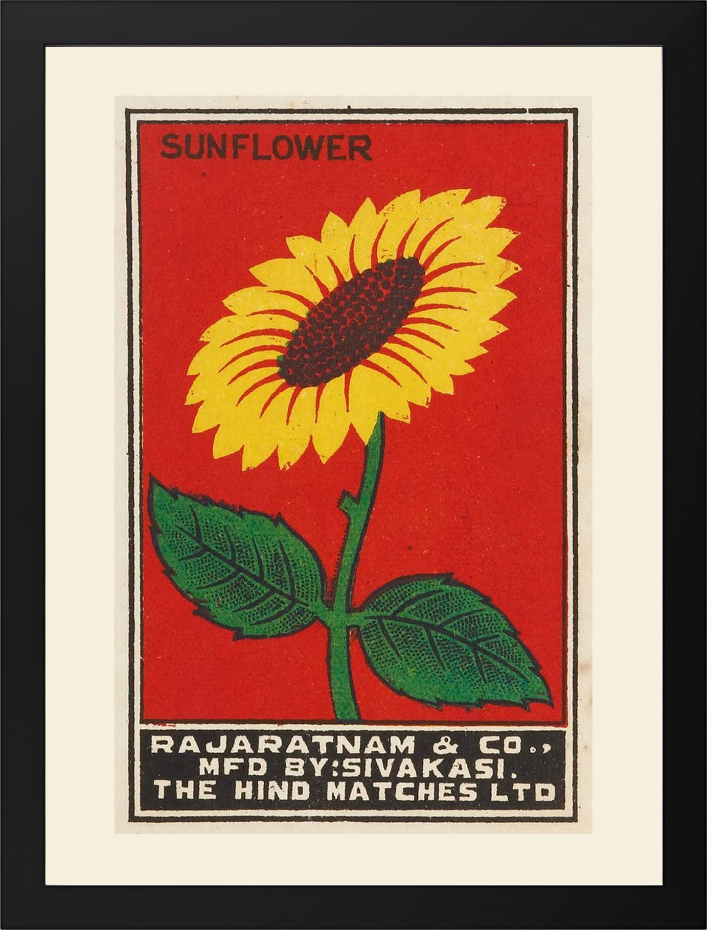 SUNFLOWER