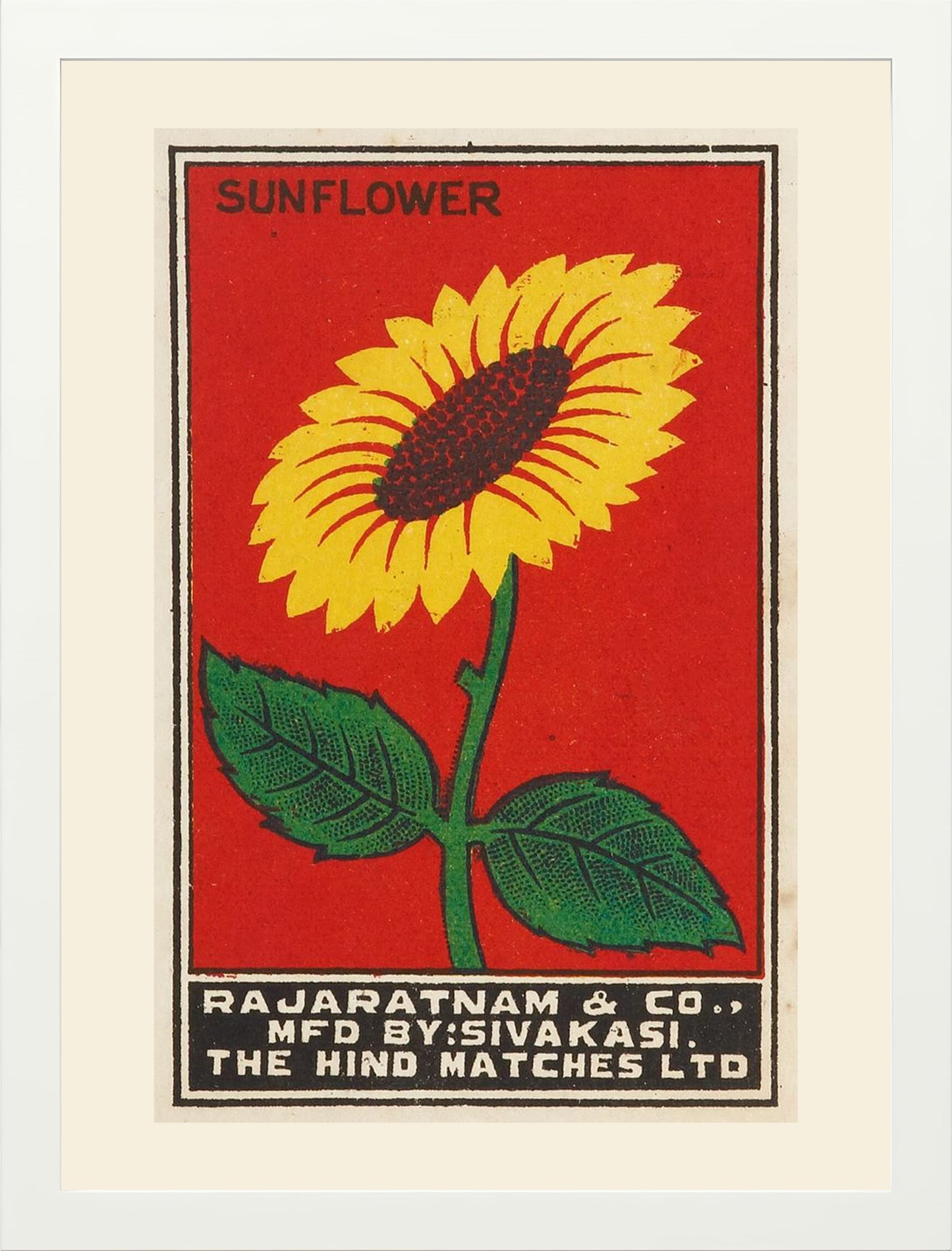 SUNFLOWER