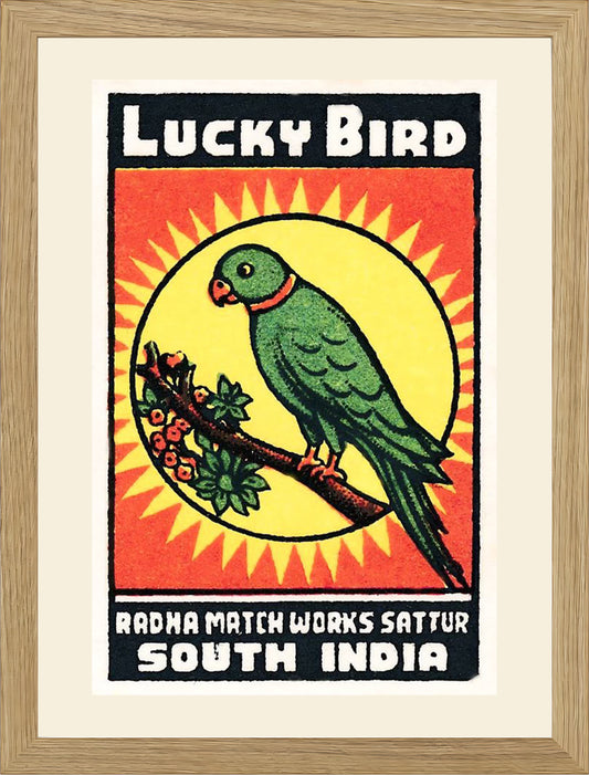 LUCKY BIRD