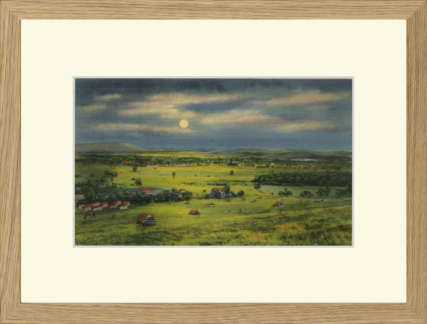 MOONLIT GRASSLAND