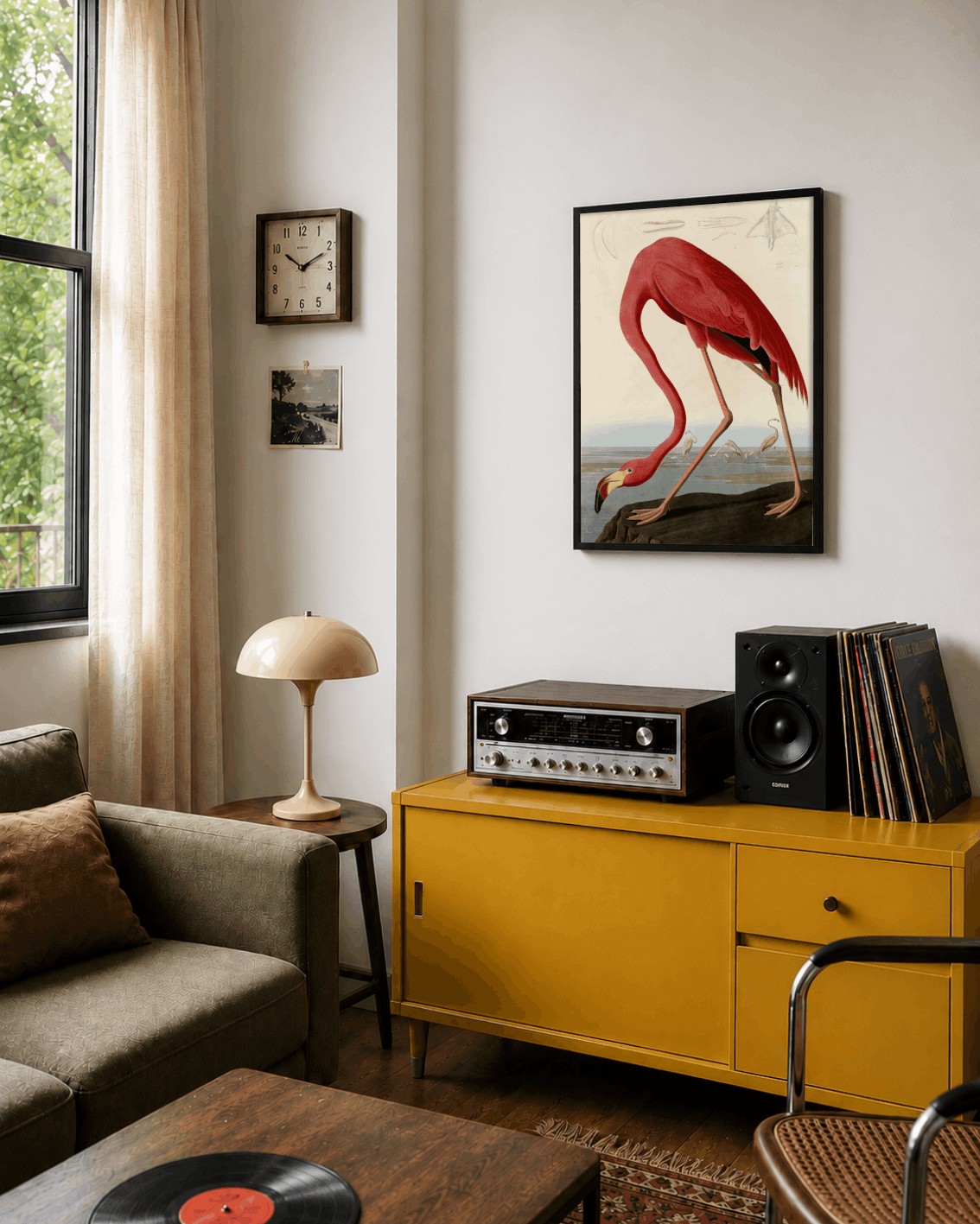 American Flamingo