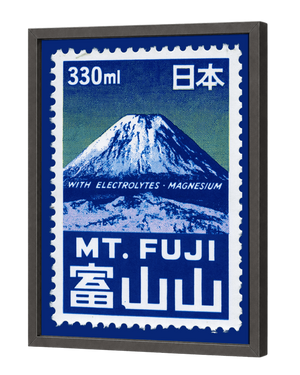FUJI ELECTROLYTES