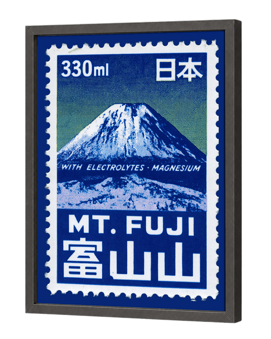 FUJI ELECTROLYTES