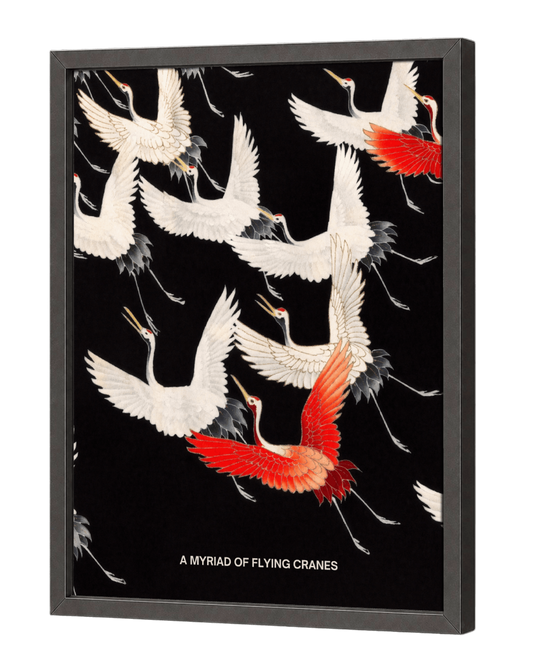 A MYRAID OF FLYING CRANES