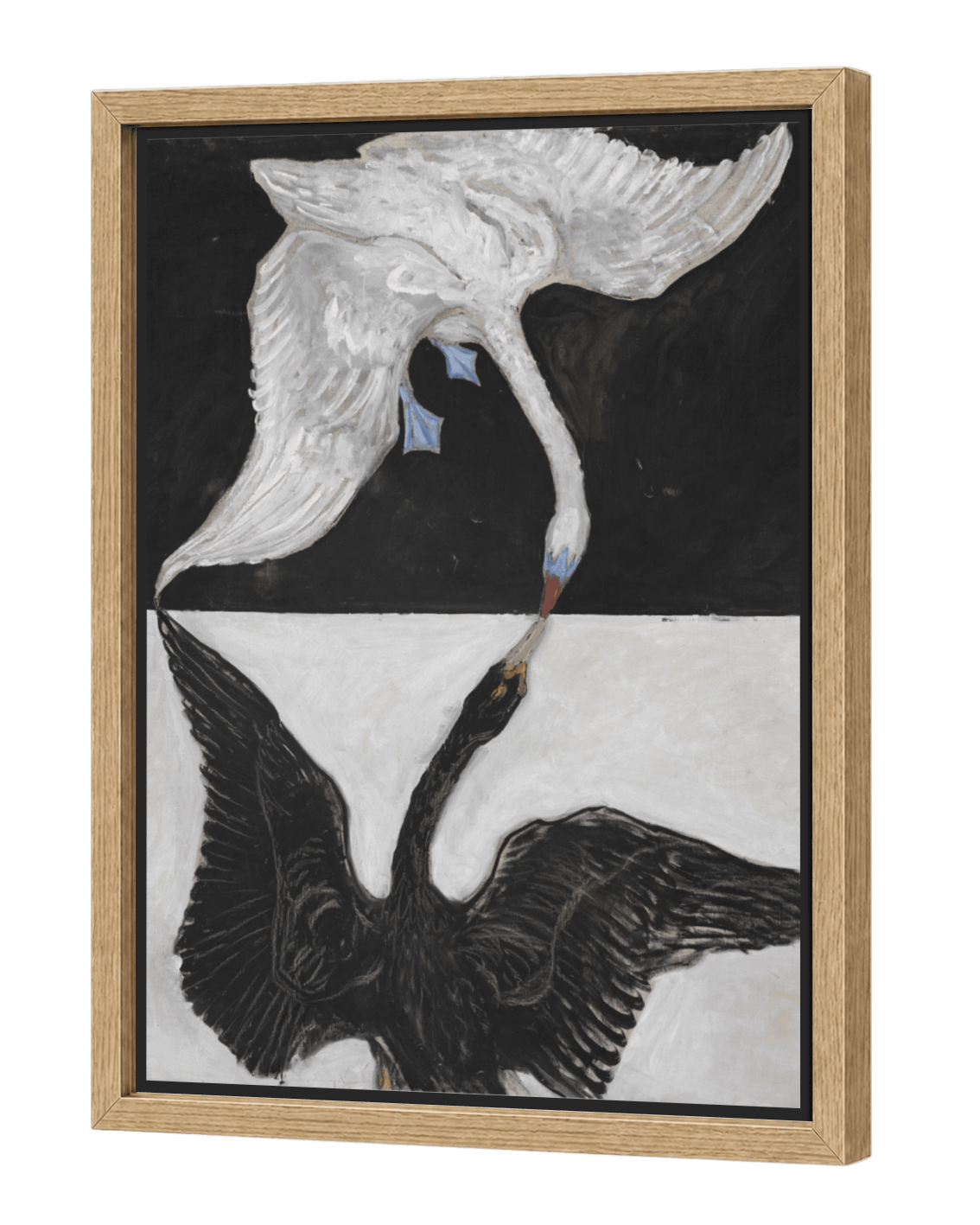 The Swan