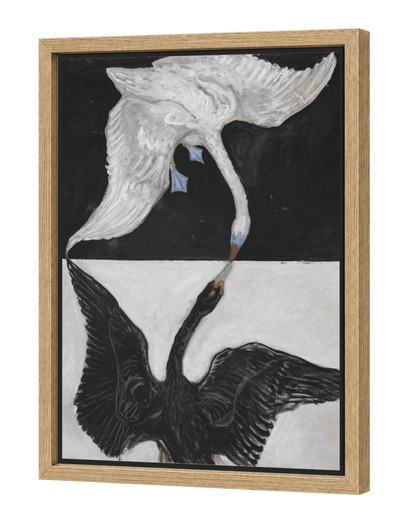The Swan