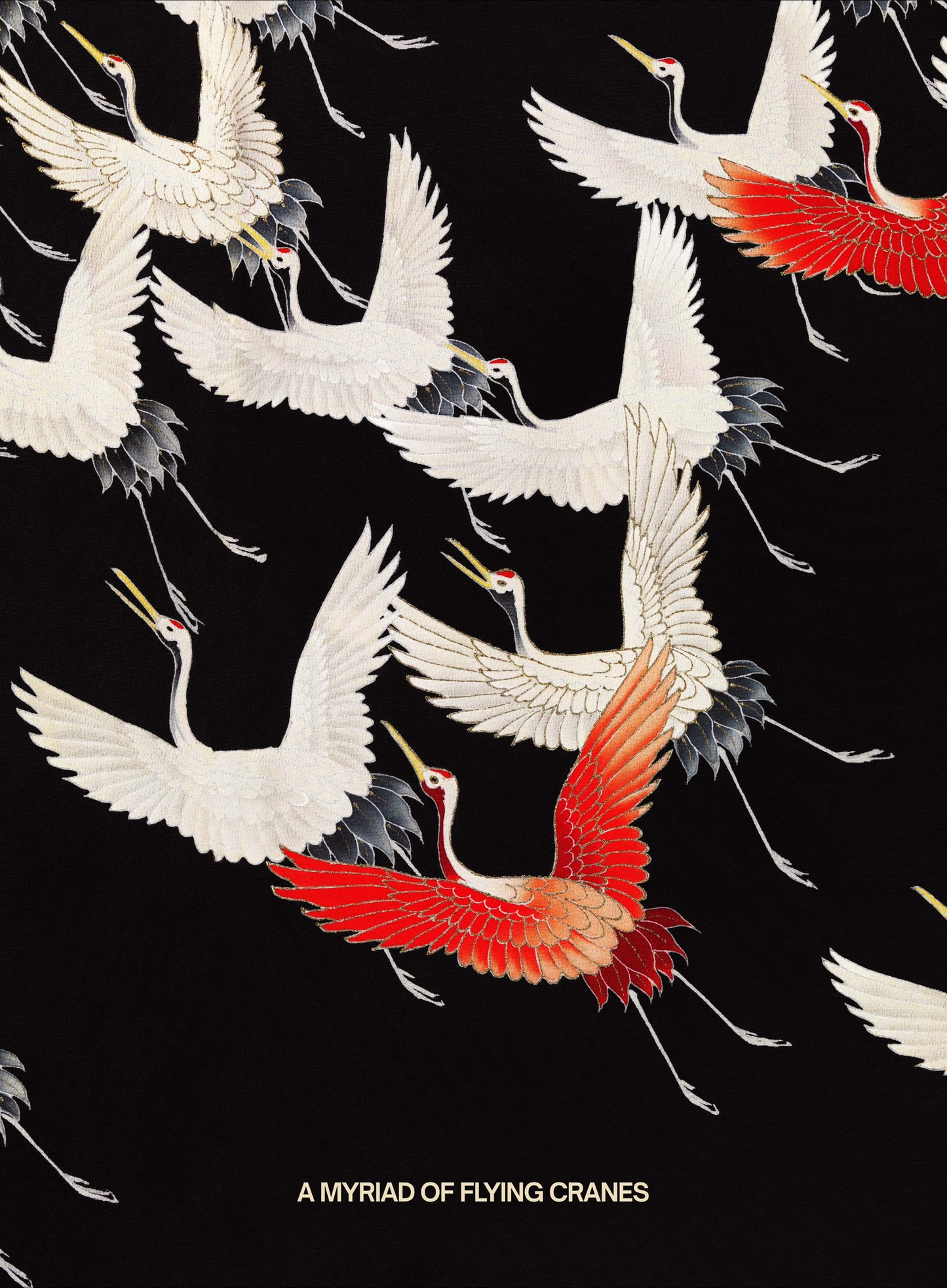 A MYRAID OF FLYING CRANES